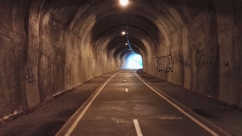 Stary tunel kolejowy - fot. Piotr Motas